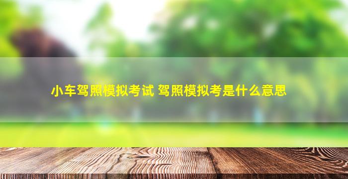 小车驾照模拟考试 驾照模拟考是什么意思